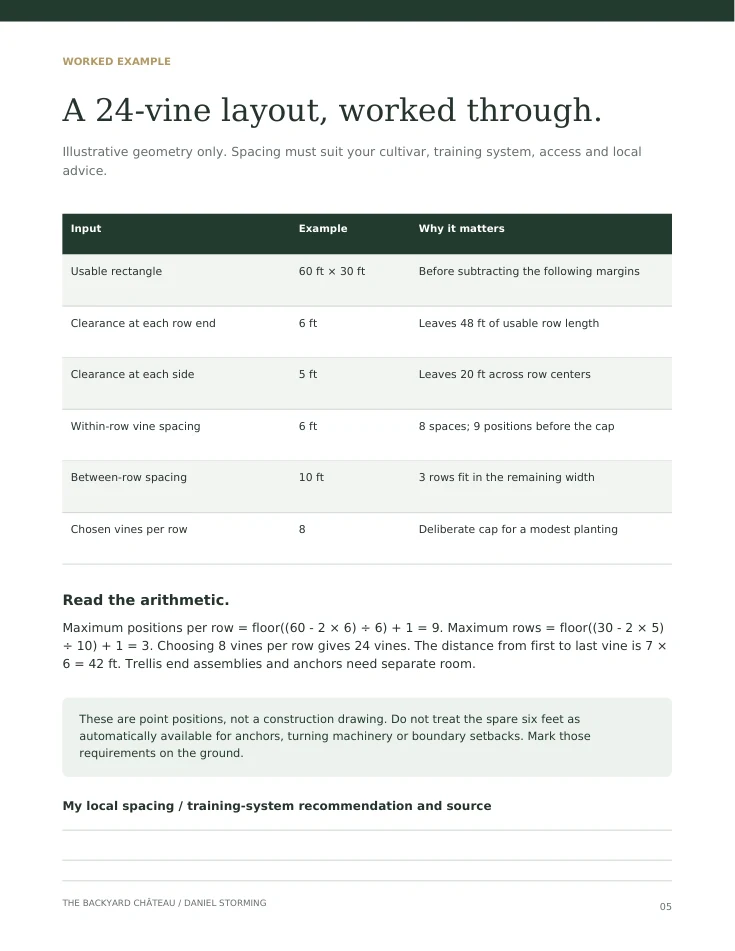 Worked example showing the dimensions and arithmetic for a 24-vine vineyard